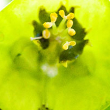 一键环境切换的DDOS压力测试网页端